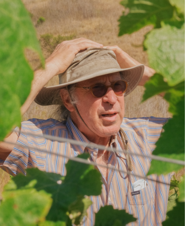 Language ofYes Winemaker Randall Grahm.